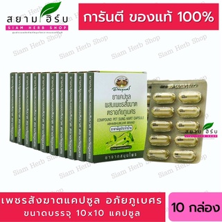 ยาแคปซูลผสมเพชรสังฆาต ตราอภัยภูเบศร ขนาดบรรจุ 10 แคปซูล (แผง) 10 แผง  (ยาสามัญประจำบ้าน)