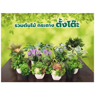ต้นไม้ปลอมตั้งโต๊ะ พร้อมกระถาง (รวมฮิต1) สูง 19-36 ซม.  #ต้นไม้ปลอมตั้งโต๊ะ Leeartplants