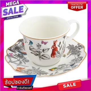 ชุดถ้วยกาแฟ FINE CHINA 250ml ROYAL FINE CHINA WONDERLAND แก้วน้ำ FINE CHINA COFFEE SET 250ml ROYAL FINE CHINA WONDERLAND