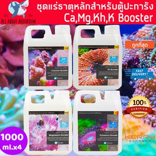 ชุดแร่ธาตุหลัก สำหรับตู้ปลาทะเล ปะการัง CA MG KH K Booster 1000ml.x4 เคมีเกรดแลปคุณภาพสูงที่สุด reef tank ปลาทะเล coral