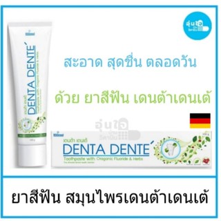 DENTA DENTE ยาสีฟัน สมุนไพรเดนต้าเดนเต้ ขนาด 160  g ลดกลิ่นปาก ลดคราบหินปูน ยาสีฟันสมุนไพร