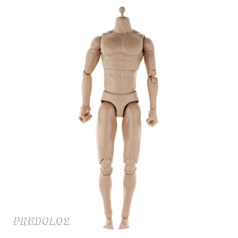 [PREDOLO2] 12 inch Male Body Model Figure 1/6 Male Figure Body Plastic ...