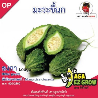 AGA SHOP เมล็ดพันธุ์มะระลงกาขี้นก