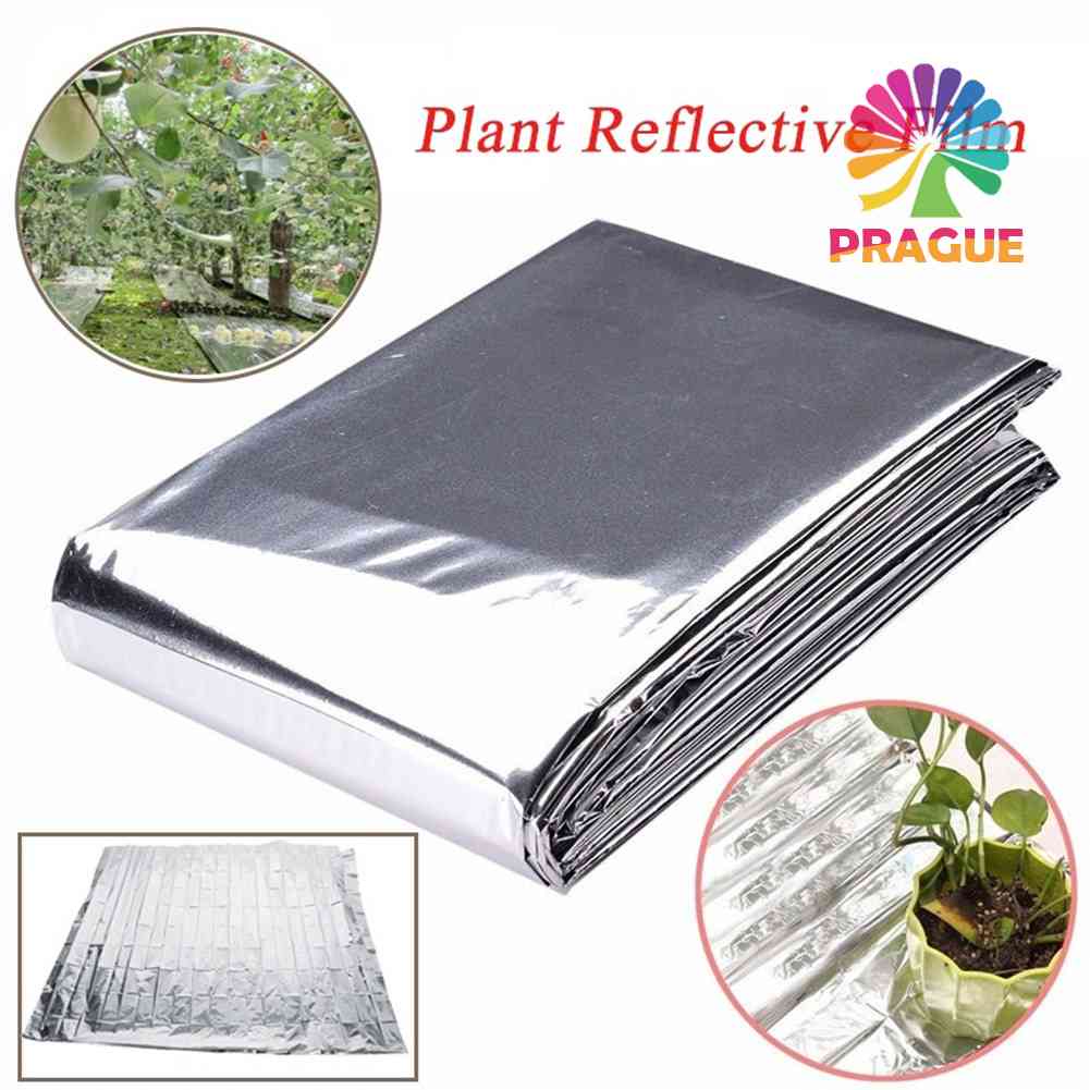 แผ่นฟิล์มฟอยล์สะท้อนแสง PE ขนาด 210×120 ซม. สําหรับตกแต่งสวนเรือนกระจก