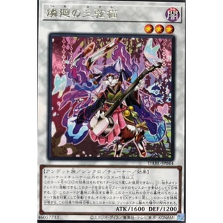 [DABL-JP044] Reincarnating Shamisen Calico (Rare)