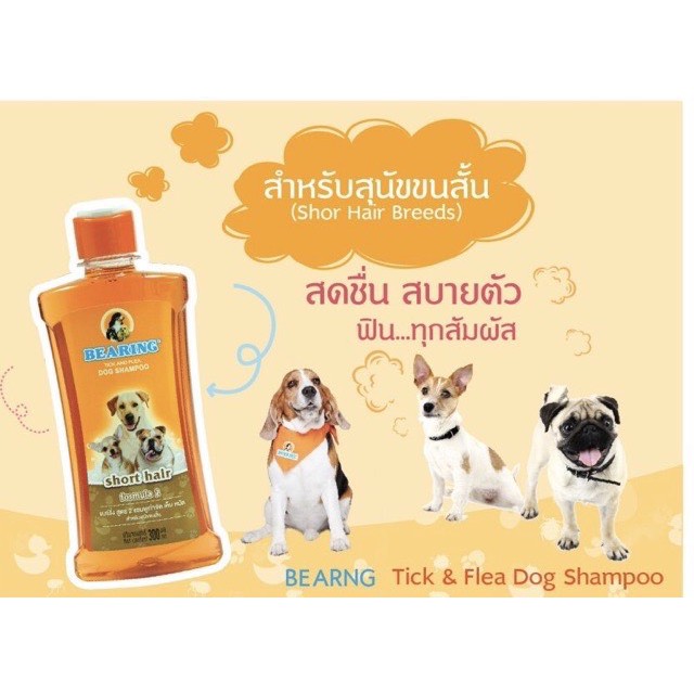 Bearing แบร์ริ่งแชมพูกำจัดเห็บหมัด สำหรับสุนัขทุกสายพันธุ์ 600 ml.