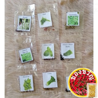 Herbs &amp; Leafyผักสีเขียว ~ ชุด * กระโปรง/ผักชี/มะละกอ/ผักกาดหอม/กางเกง/เด็ก/ผู้ชาย/สร้อยข้อมือ/เสื้อ/พาสต้า/ Q9LH