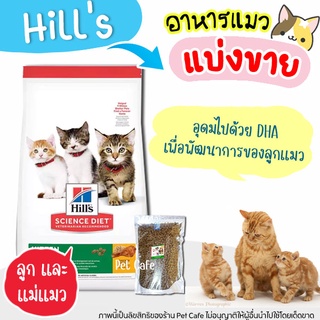 🌼แบ่งขาย🌼อาหารแมว Hill’s science diet kitten สูตรแมวเด็ก&lt;12เดือน และแม่แมวเลี้ยงดูลูก【F1】