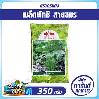 เมล็ดพันธุ์ผักชี สายสมร ตราศรแดง 350 กรัม