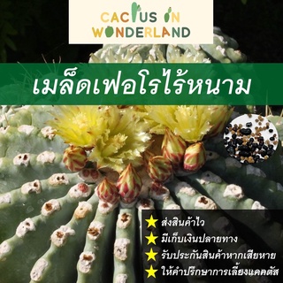 （มีของแจก）เมล็ดเฟอโรไร้หนาม เมล็ดแคคตัส เมล็ดกระบองเพชร RG74