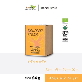 03-01-040 LUMLUM-Organic Ginger Tea 24 g./ชาขิงออร์แกนิค 24 กรัม