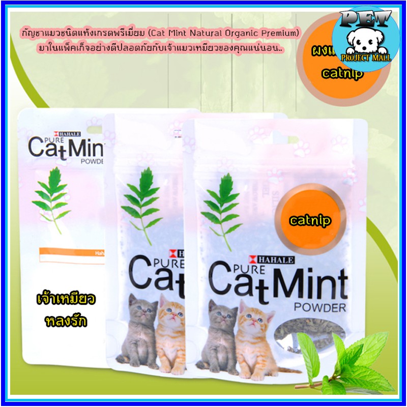 PP-021 กัญชาแมว ผงแคทนิป Catnip กัญชาแมวชนิดแห้ง เกรดพรีเมี่ยม (Cat Mint Natural Organic Premium)