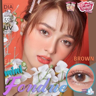 Mini fondue brown พร้อมส่งสายตาปกติและค่าสายตา (kittykawaii)