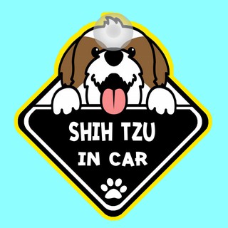 ป้ายติดรถยนต์ DIC42 จุ๊บติดกระจก ติดรถ DOG IN CAR ❤ Shih Tzu ❤ ป้ายติดกระจก ป้าย สติ๊กเกอร์