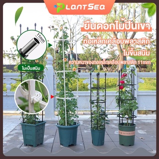 โครงไม้เลื้อย ซุ้มกุหลาบ ซุ้มไม้เลื้อย ซุ้มไม้เลื้อย ระแนงไม้เลื้อย ซุ้มต้นไม้ ท่อเหล็กเคลือบ PE กันสนิม โครงเหล็กดัด