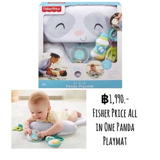 Fisher Price All in One Panda Playmat