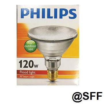 PHILIPS หลอด  PAR38 120W Warm White E27  outdoor