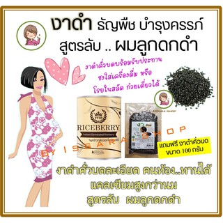 ✅ VVIP ของแท้ มีของแถม จมูกข้าวกล้องงอก Riceberry 500g.