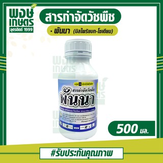 พันนา 500 ml. (บิสไพริแบก-โซเดียม) กำจัดวัชพืชหลังงอก ในนาข้าวหว่านตม เช่น หญ้าดอกขาว หญ้าข้าวนก  ผักปอดนา หนวดปลาดุก