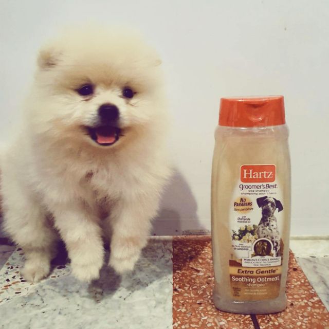 Hartz Soothing Oatmeal Shampoo ฮาร์ท