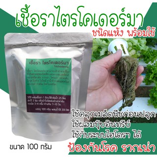 เชื้อราไตรโคเดอร์มา ชนิดแห้งพร้อมใช้ คุมเชื้อรา โรครากเน่า โคนเน่าใช้ได้กับพืชผักทุกชนิด ขนาด 100 กรัม