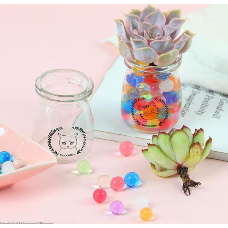 แก้วปลูกไม้น้ำทุกชนิด แก้วปลูกไฮยาซิน แก้วมีความหนาพิเศษแก้วใสมาก ขนาด ก.5.5*ส.7.3 ซม. 1 ใบ - รูปที่ 5