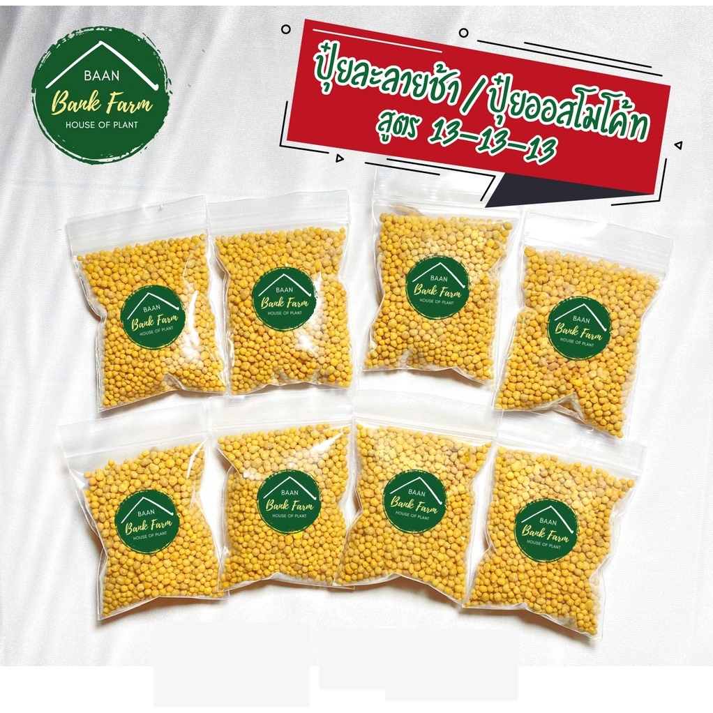 ปุ๋ยออสโมโค้ท 100g. ปุ๋ยเม็ดละลายช้า ปุ๋ยสูตร 13-13-13 (Osmocote 13-13-13) ใส่เพียงครั้งเดียว พืชได้