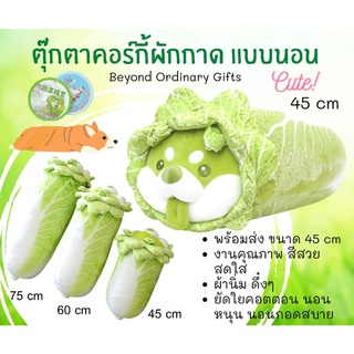 ตุ๊กตาคอร์กี้​ผักกาด​ แบบนอน​ พร้อมส่งในไทย​ (Cabbage​ Corgi)​