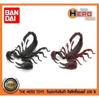 ( แยกจำหน่าย ) Gashapon 500Y Dango Mushi Scorpion