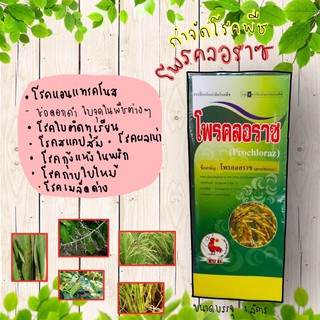 โพรคลอราซ45%EC กำจัดโรคพืช โรคเมล็ดด่าง ช่อดำ กาบใบแห้ง ผลเน่า ใบจุด ใบติดทุเรียน โรคกุ้งแห้งในพริก เกสรดำในกล้วยไม้