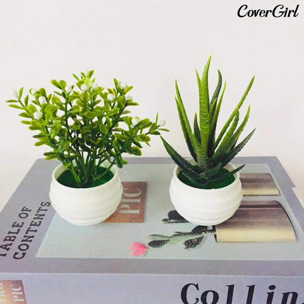 ตกแต่งบ้าน ให้น่าอยู่ ( Beauty ) กระถางต้นไม้จําลองพลาสติกสําหรับตกแต่งบ้าน ราคาถูก