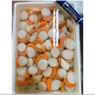 เนื้อหอยเชลล์ติดไข่ แช่แข็ง ยำ ผัด ทอด ย่าง ทำอะไรก็อร่อย 500,1000g