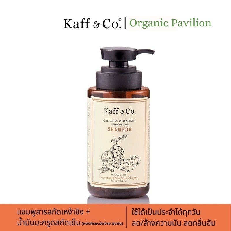 Kaff & Co Ginger Rgizome & Kaffir Lime Shampoo (Oily Scalp) แชมพูสารสกัดเหง้าขิง และ น้ำมันมะกรูดสกัดเย็น (300ml)