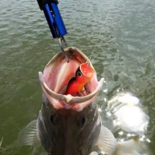 เหยื่อปลอมตกปลา​ป็อปเปอร์​ UNC LURE 3ขนาด​ VP-0018