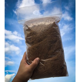 ใยมะพร้าว เส้นใยมะพร้าวแห้ง coconut coir fiber