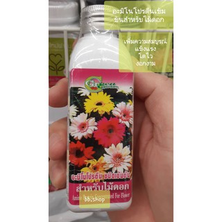 อะมิโนโปรตีนชนิดเข้มข้น สำหรับไม้ดอก 120ml(Amino Protein For Flower Plants) ของแท้100%