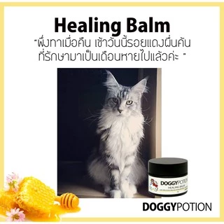 Doggy Potion Healing Balm ขนาด 20g