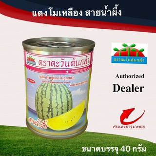 เมล็ดพันธุ์ แตงโมสายน้ำผึ้ง 40g