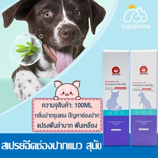 น้ำยาดับกลิ่นปากแมว และสุนัข (รสชาเขียว รสพีช) 100ML สเปรย์ดับกลิ่นปาก ทำความสะอาดปากแมว สูตรอ่อนโยนและไม่ระคายเคือง