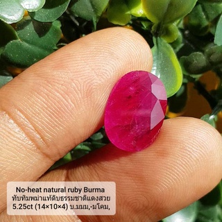 ทับทิมพม่าดิบ ธรรมชาติ ไม่เผา แดงสดสวย  เเดงเลือดนก No-heat natural ruby Burma