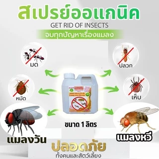 ไล่แมลงวัน(1ลิตร) แมลหวี่ ในถังขยะ ในห้องครัว (ML-1) ตัดวงจรพาหะนำเชื้อโรค ออแกนิคสมุนไพร