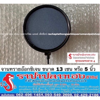 จานทราย ขนาดเส้นผ่าศูนย์กลาง 13 ซม.หรือ 5 นิ้ว