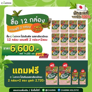 (14 กล่อง Matcha+ Matcha  2 ซอง) Charnn  Plant based Protein Matcha โปรตีนพืช สูตรคลีน  รสเข้มข้นจากมัทฉะแท้