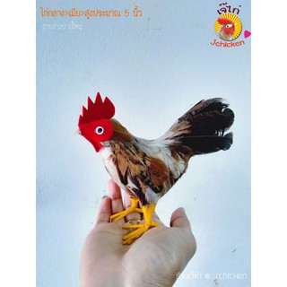 ตุ๊กตาไก่ตัวเมีย&gt;ขนาดความสูง 4-5 นิ้ว&gt;ใช้ขนไก่จริง&gt;งานช่างบ้านใหม่