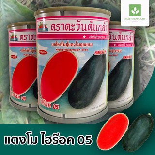 ไฮร๊อค 05 แตงโม ตอปิโด 40กรัม ตราตะวันต้นกล้า ไฮร็อค เมล็ดพันธุ์แตงโม