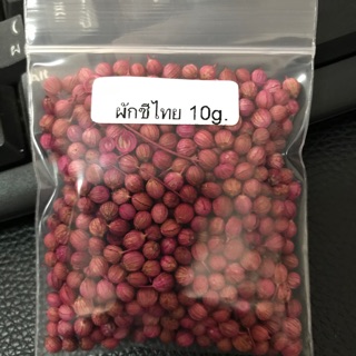 ผักชีไทย บรรจุ 10 กรัม #ชีหอม#หอมกลาง