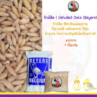 ข้าวโอ๊ต(Beyers )อาหารธัญพืชสำหรับนกแก้ว