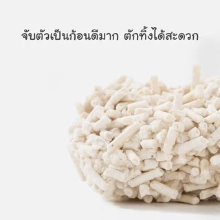 CatHoliday ทรายเต้าหู้พรีเมี่ยม Randolph ทรายแมว