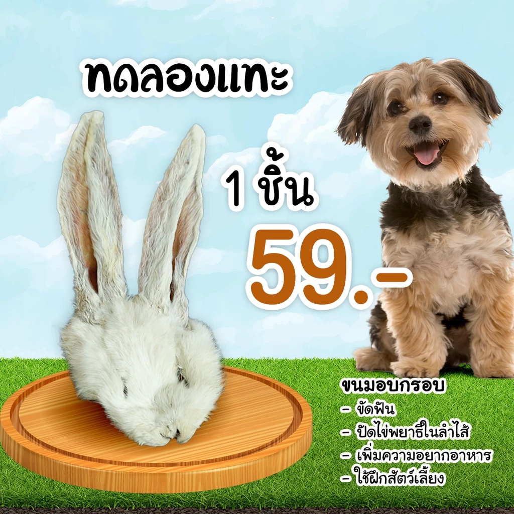 มีแลกซื้อ  🎉 หูกระต่ายอบกรอบ ขนมสัตว์เลี้ยงแบ่ง ถุงละ 100 กรัม  สินค้าพร้อมส่ง thumbnail 6