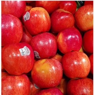 TOP-1แอปเปิ้ลเอนวี่ ENVY APPLE (8ลูก/ไซส์L) (NewZealand/USA) ~ลดพิเศษ~ส่งฟรี~ Apple Premium หวาน กรอบ อร่อย !